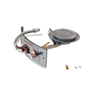 Water Heater Manifold Door and Burner Assembly 100093992